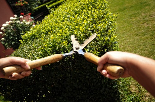 Close-up of shears cutting a front garden hedge