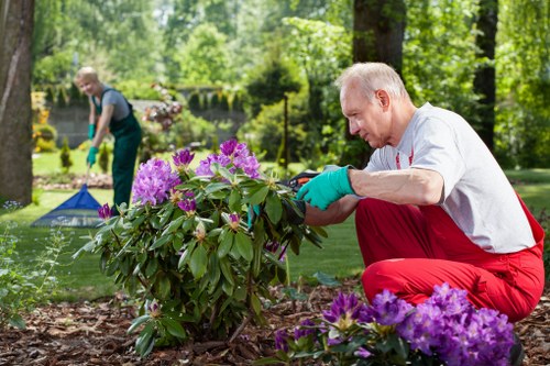 Our experienced team shaping a hedge