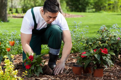 Sustainable landscape gardening practices in Finchley with native plants