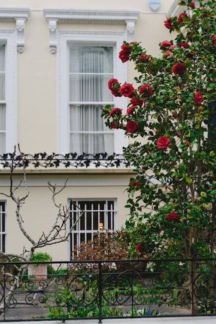 A residential garden in front of a white-painted building, featuring a large bush with vibrant red flowers on the right side, contrasting with the otherwise minimalistic garden layout. The garden incl