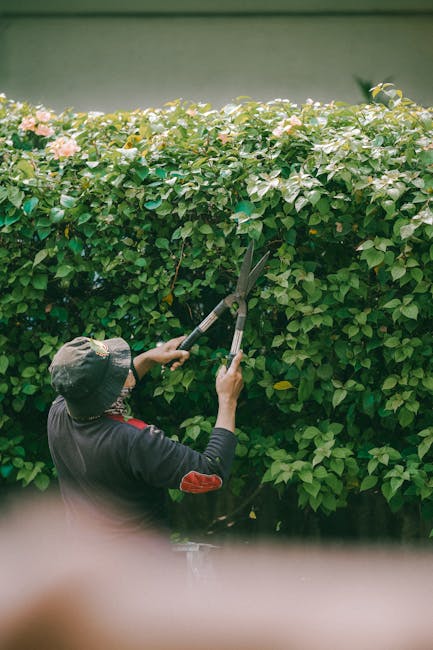 A dark blue plastic wheelbarrow filled with green leafy branches and twigs, positioned on a grassy lawn with scattered white dandelion seed heads. The wheelbarrow has a single black rubber wheel, and 